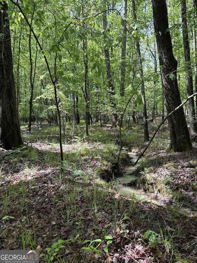 Vacant Land For Sale - Roy Dean Road<br/> Buchanan, GA 30113