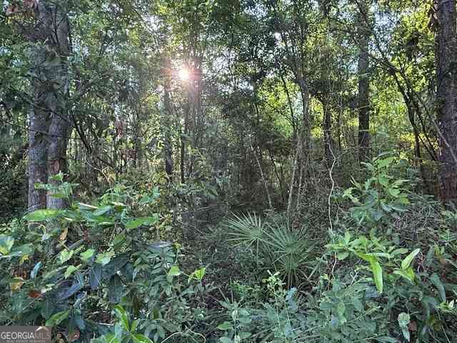 Vacant Land For Sale - V/L 21 Lighthouse Circle<br/> Woodbine, GA 31569