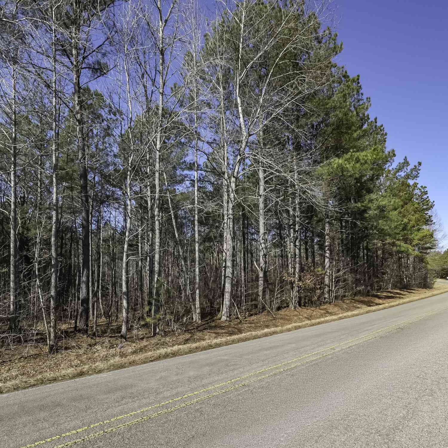 Vacant Land For Sale - County Road 49<br/> Cleburne County, Fruithurst, AL 36262