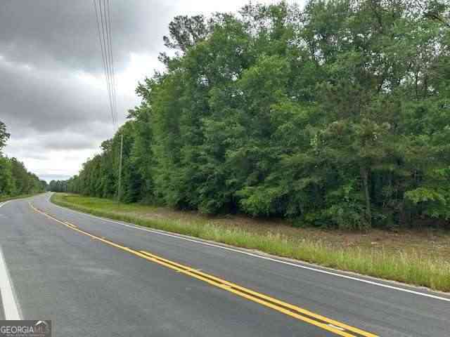 Vacant Land For Sale - Old Louisville Road<br/> Guyton, GA 31312