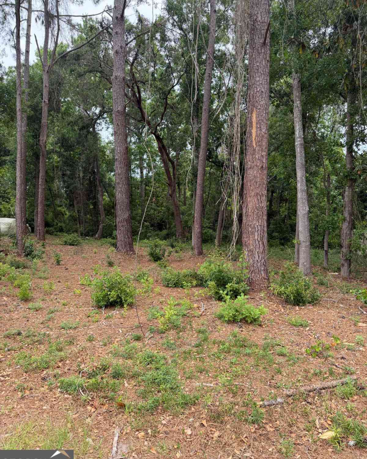 Vacant Land For Sale - 134 Palmera Lane<br/> Brunswick, GA 31520