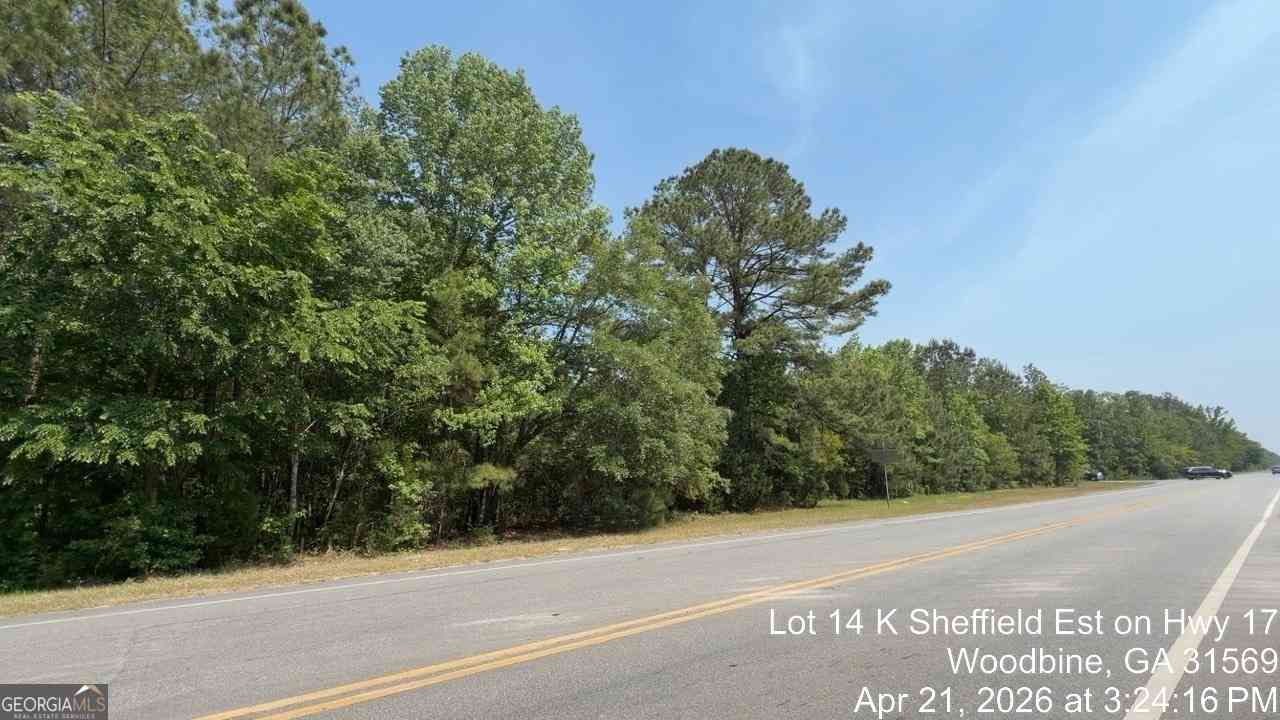 Vacant Land For Sale - LOT 14 K Sheffield Est On Hwy 17<br/> Woodbine, GA 31569