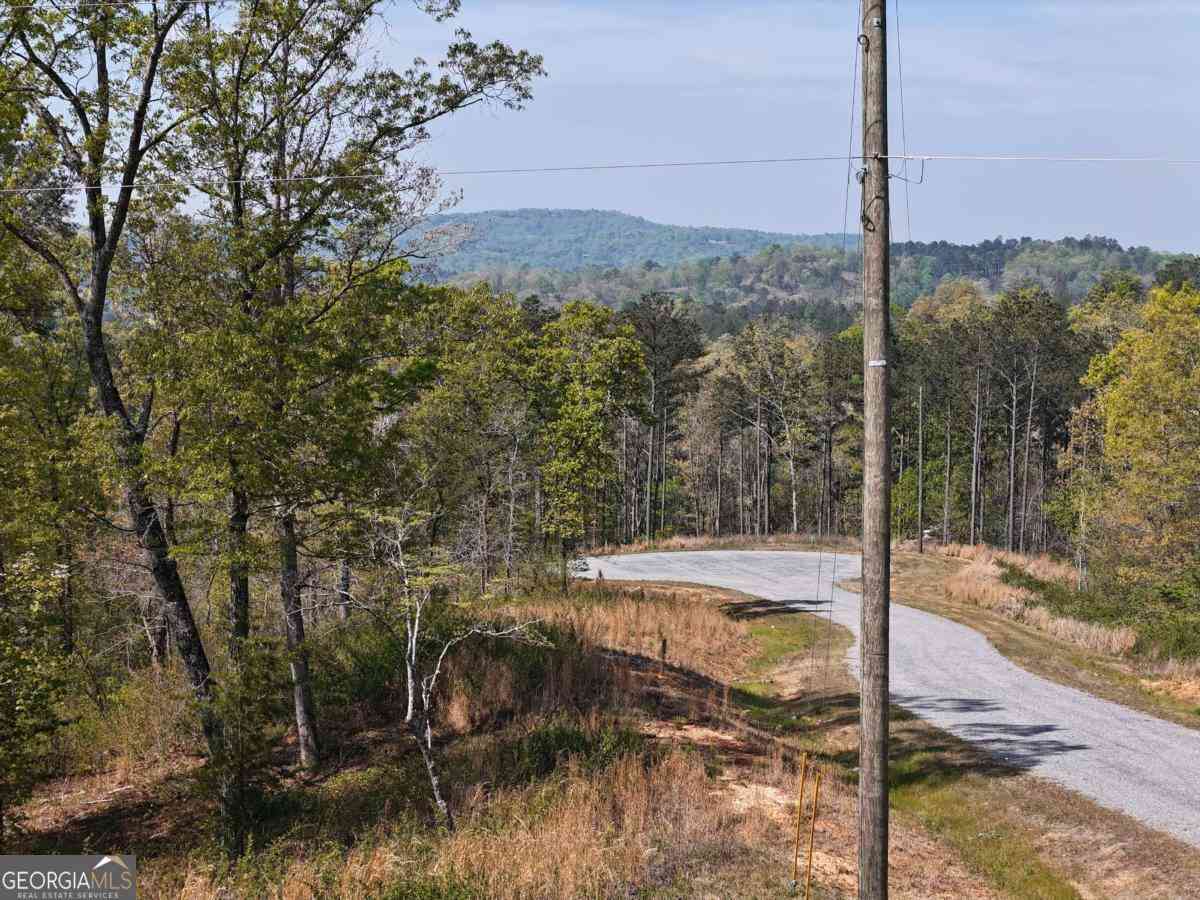 Vacant Land For Sale - LT 20 Blalock Mountain Road<br/> Ellijay, GA 30540