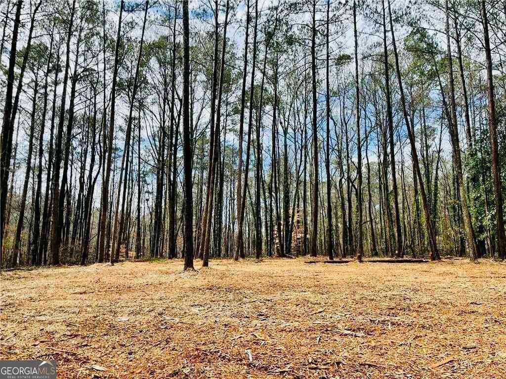 Vacant Land For Sale - 6099 Old Alabama Road SW<br/> Austell, GA 30168