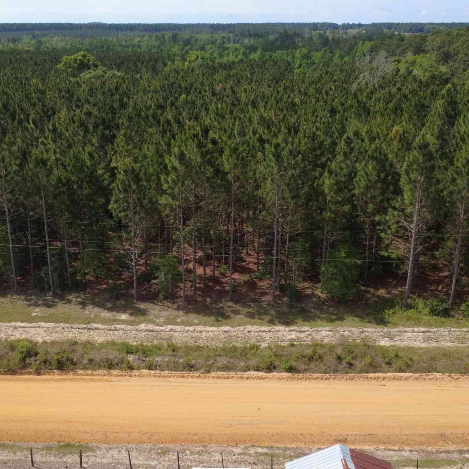 Vacant Land For Sale - A L Reeve's Road<br/> Fitzgerald, GA 31750