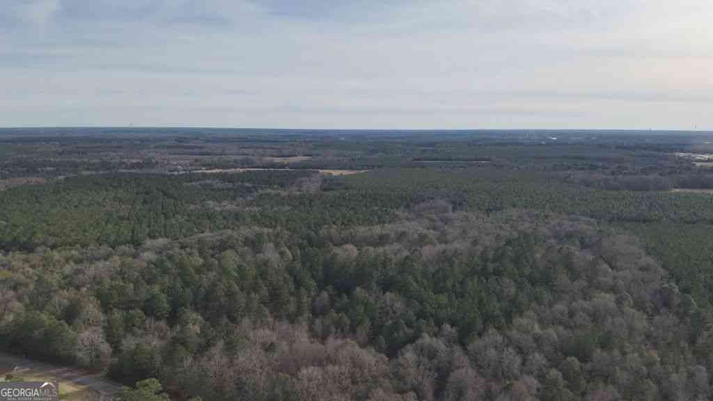 Vacant Land For Sale - 1 Country Club Road<br/> Sylvania, GA 30467