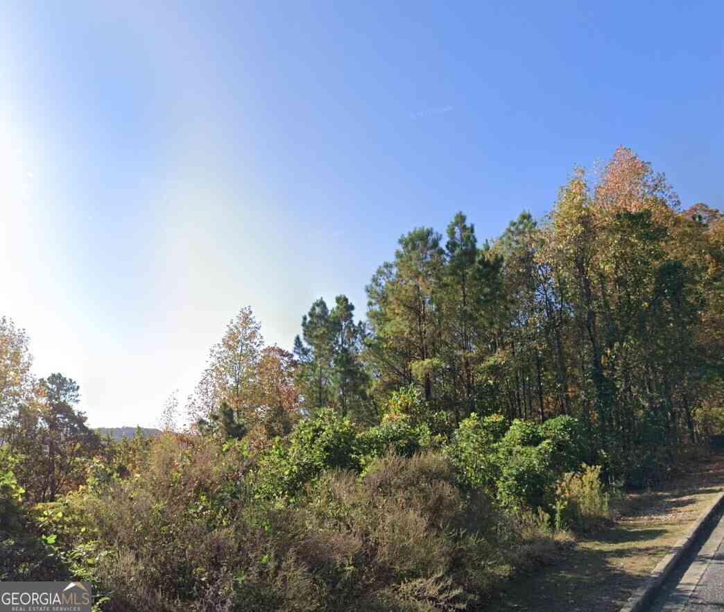 Vacant Land For Sale - 4449 Eagle Point Drive<br/> Birmingham, AL 35242