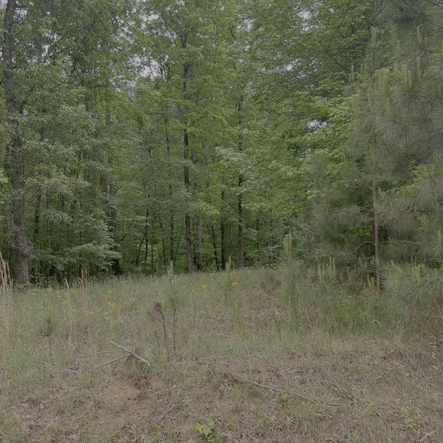 Vacant Land For Sale - 1585 N Ola Road<br/> McDonough, GA 30252