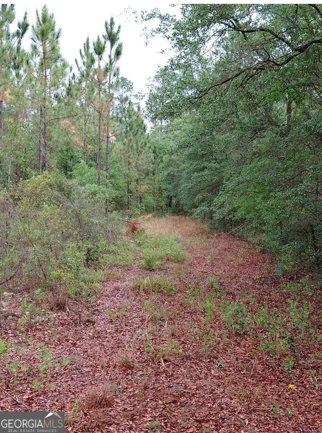Vacant Land For Sale - 779 Ralph Davis Road #1 LAND LOT<br/> Folkston, GA 31537