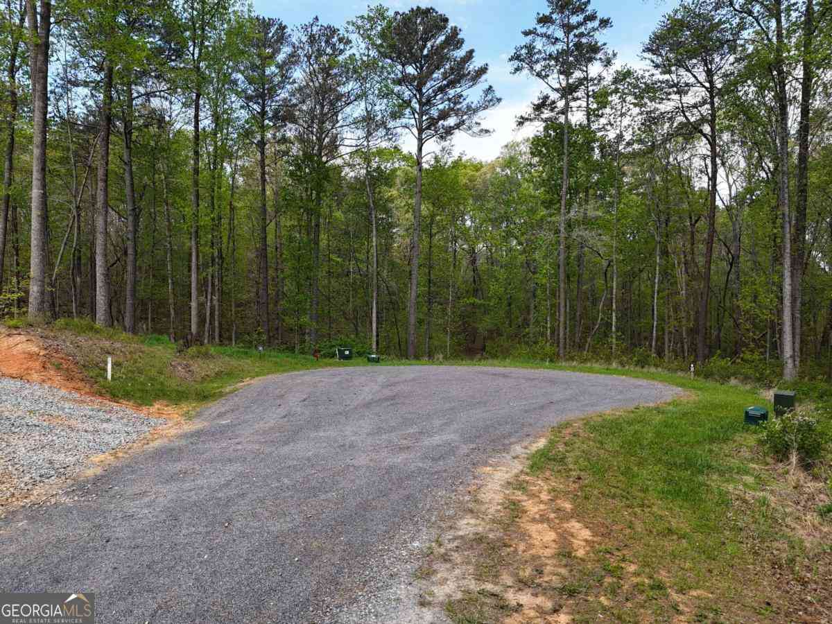 Vacant Land For Sale - LT 36R Hilton Drive<br/> Ellijay, GA 30540