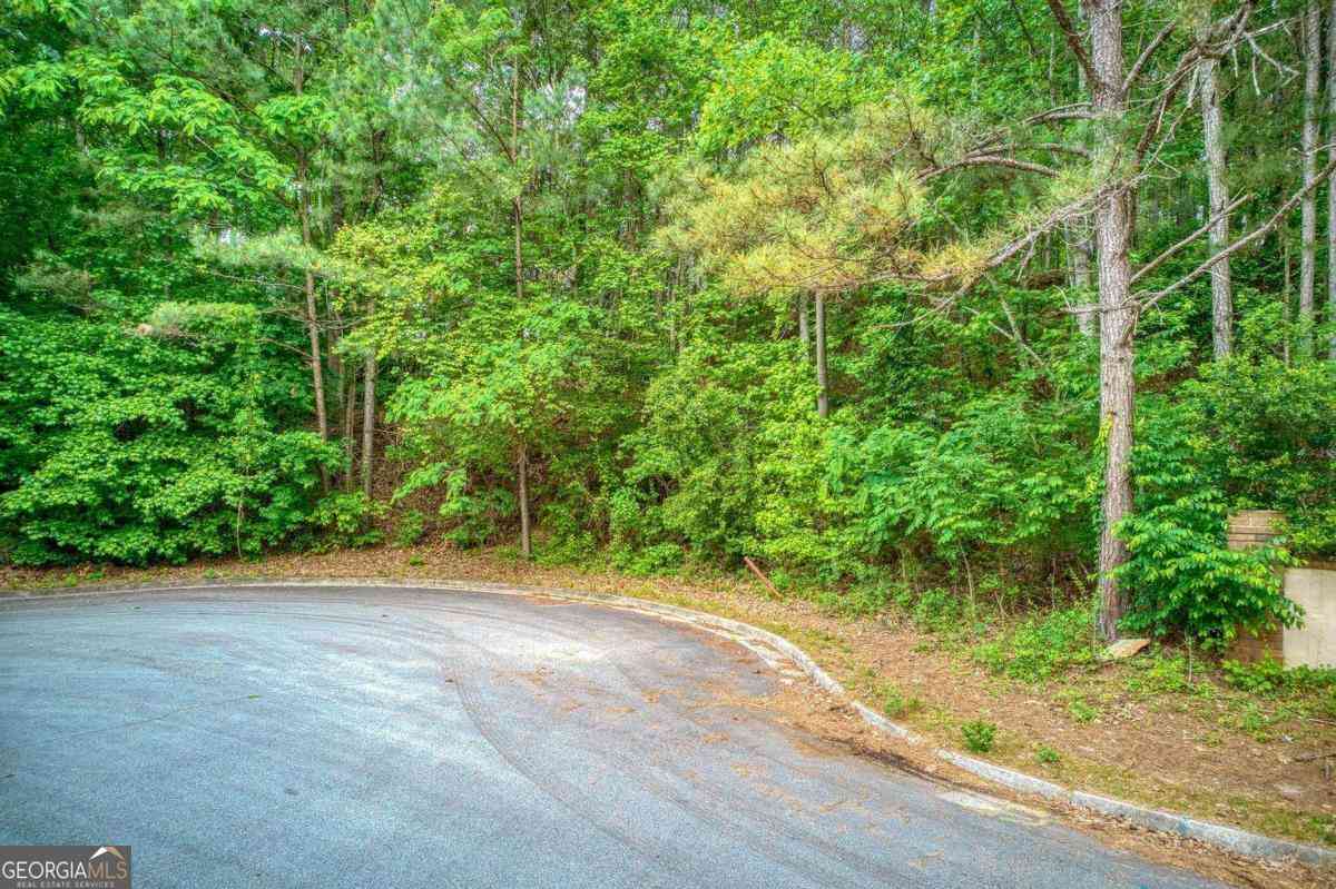 Vacant Land For Sale - 2715 Brass Lantern Court<br/> Douglasville, GA 30135