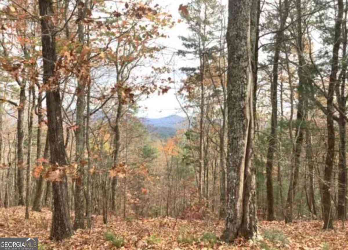 Vacant Land For Sale - LOT 17 Abbott Mill Road<br/> Ellijay, GA 30540