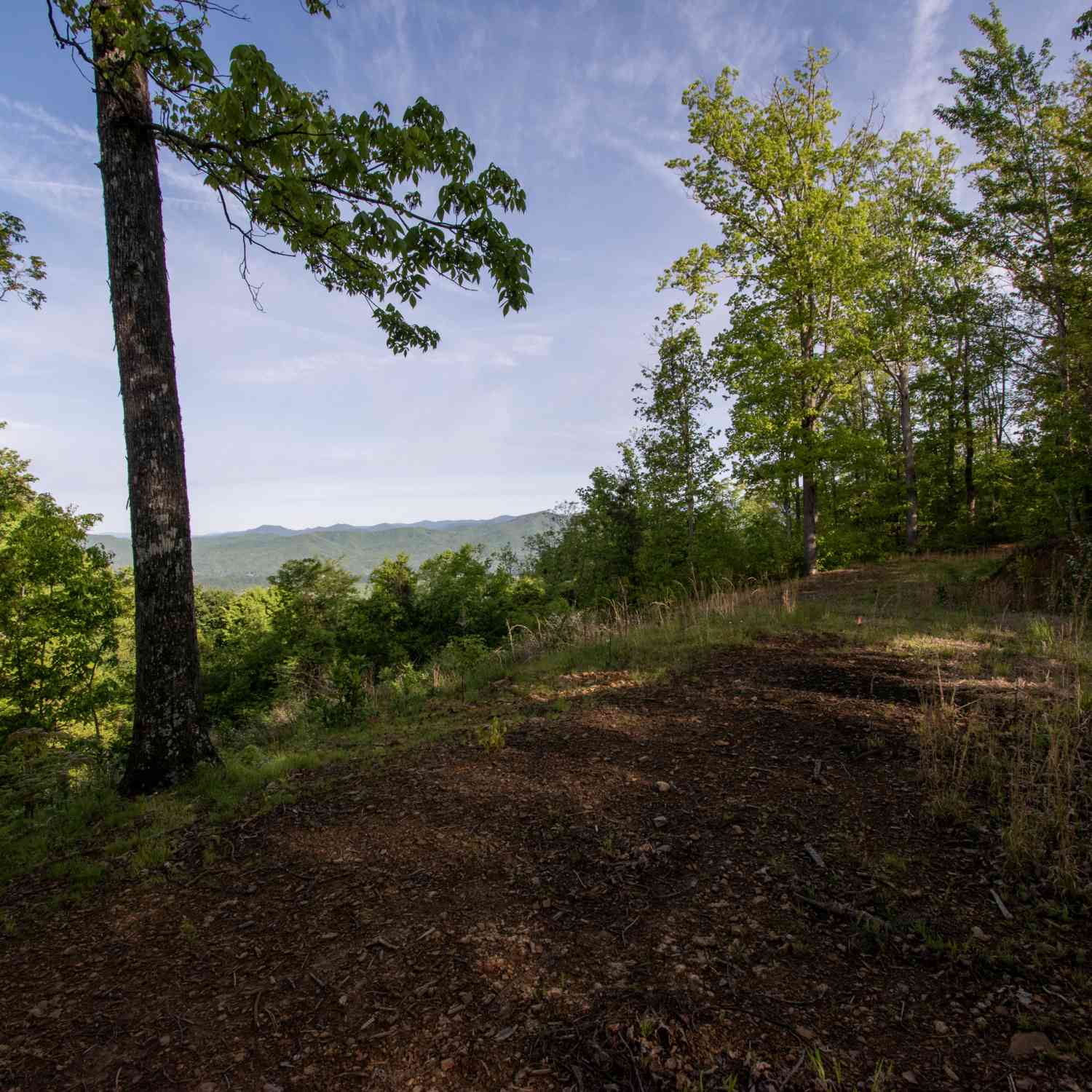 Vacant Land For Sale - 43/44 Timberwood Mountain Estates<br/> Marble, NC 28905