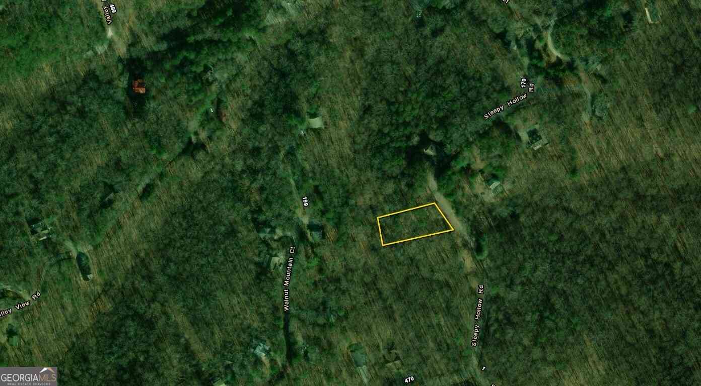 Vacant Land For Sale - Sleepy Hollow Road #LOT 46<br/> Ellijay, GA 30536