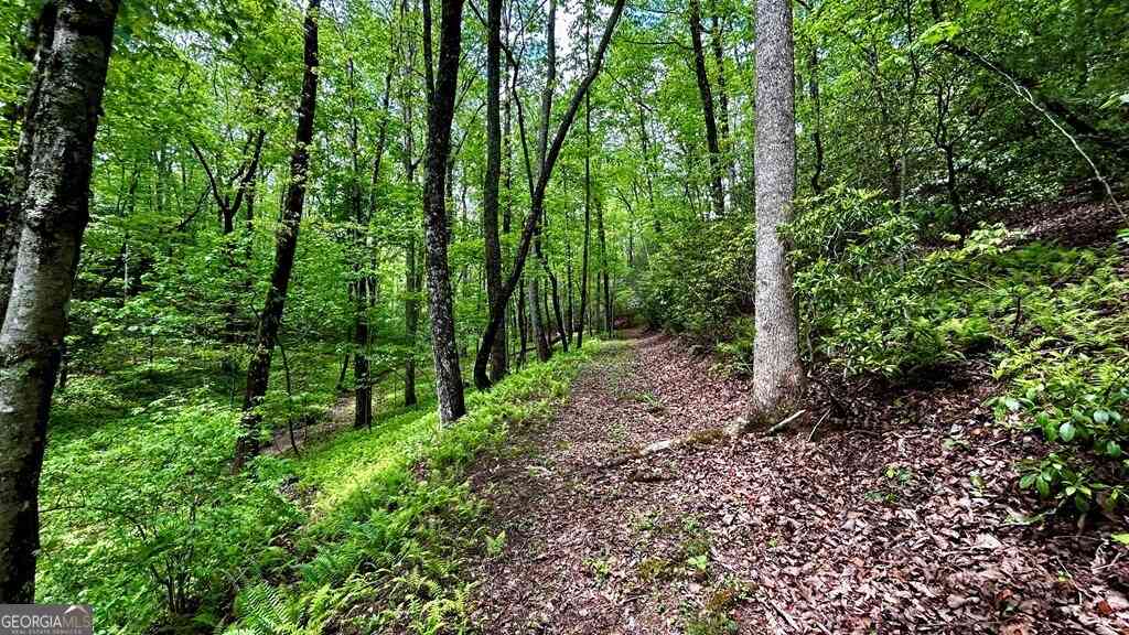 Vacant Land For Sale - LOT 12 Frances Drive<br/> Ellijay, GA 30536
