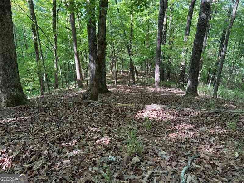 Vacant Land For Sale - High Shoals Drive<br/> Lumpkin County, Dahlonega, GA 30533
