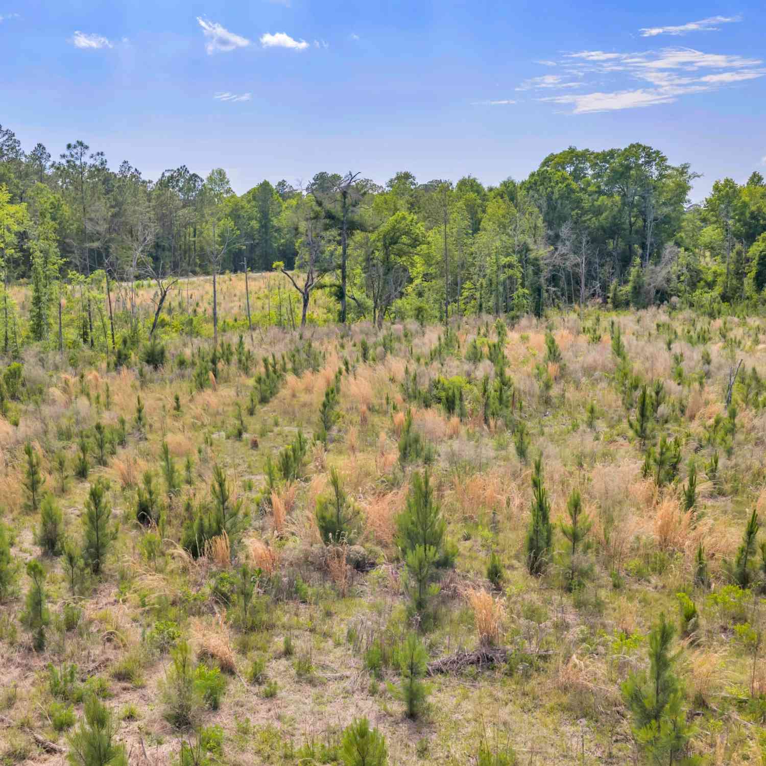 Vacant Land For Sale - Us 82<br/> Sylvester, GA 31791