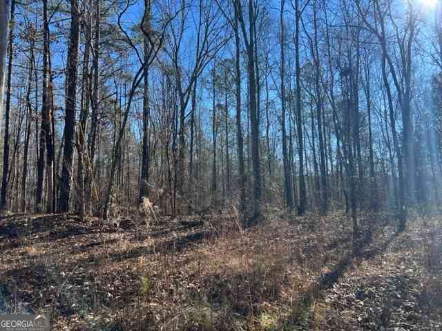 Vacant Land For Sale - Creek Road<br/> Ashland, AL 36251