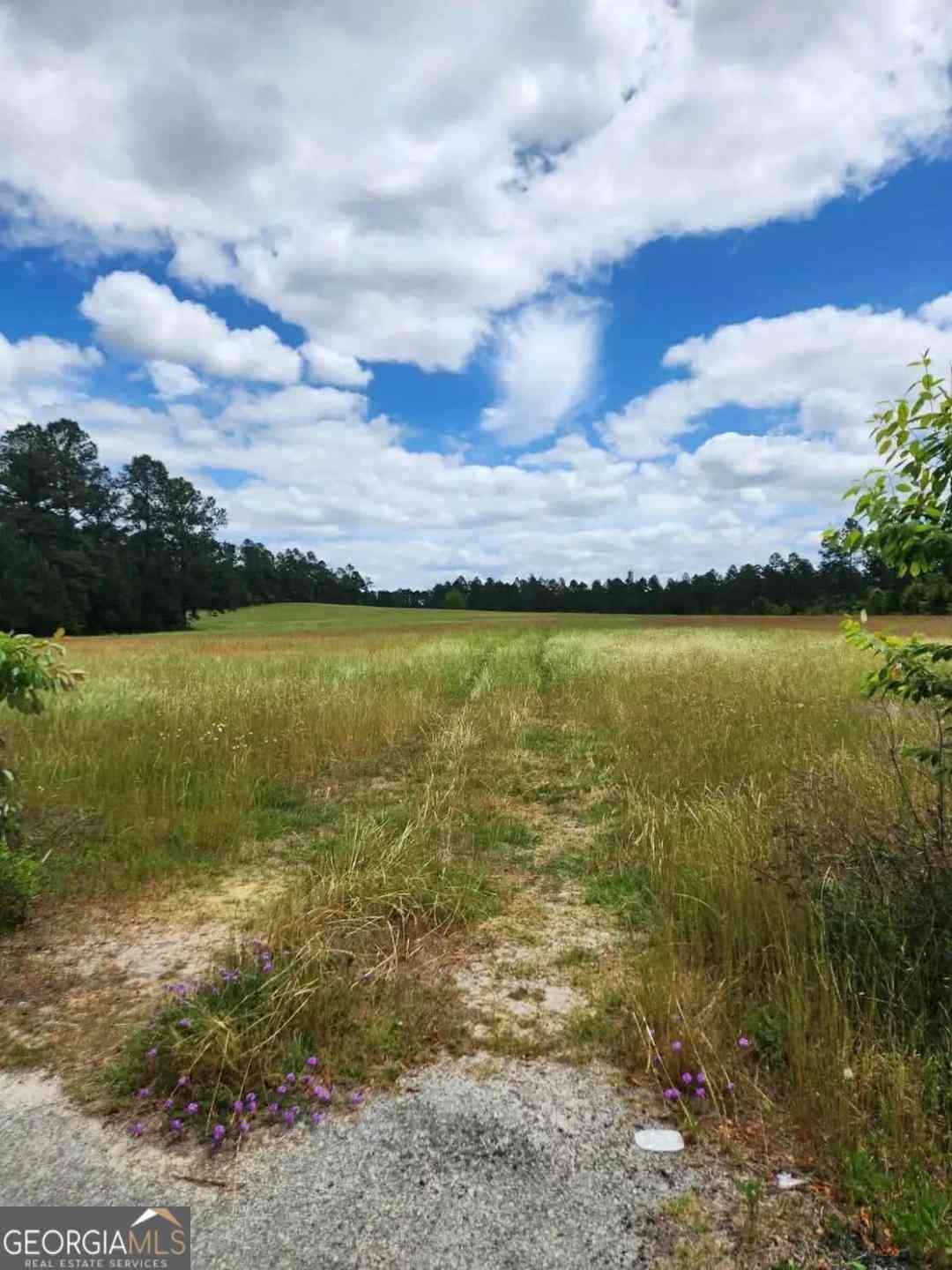 Vacant Land For Sale - Stingray Road<br/> Swainsboro, GA 30401