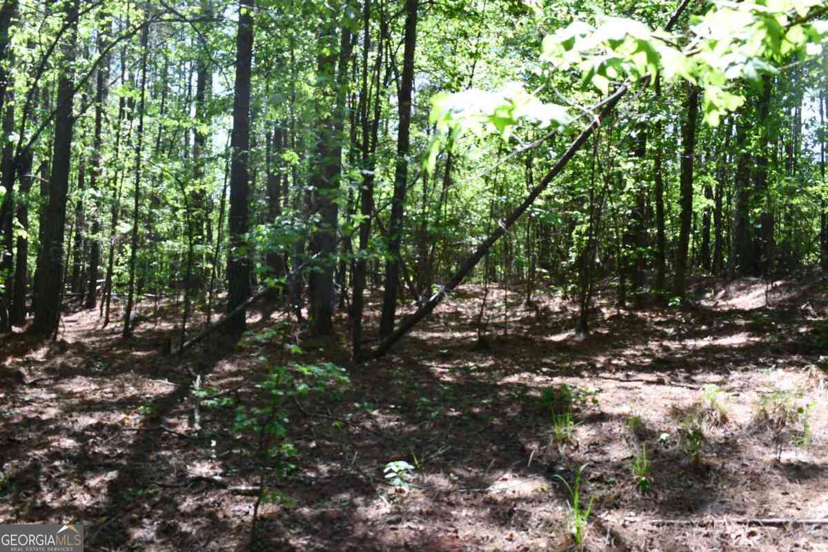 Vacant Land For Sale - 00001 Windridge Lane<br/> Temple, GA 30179