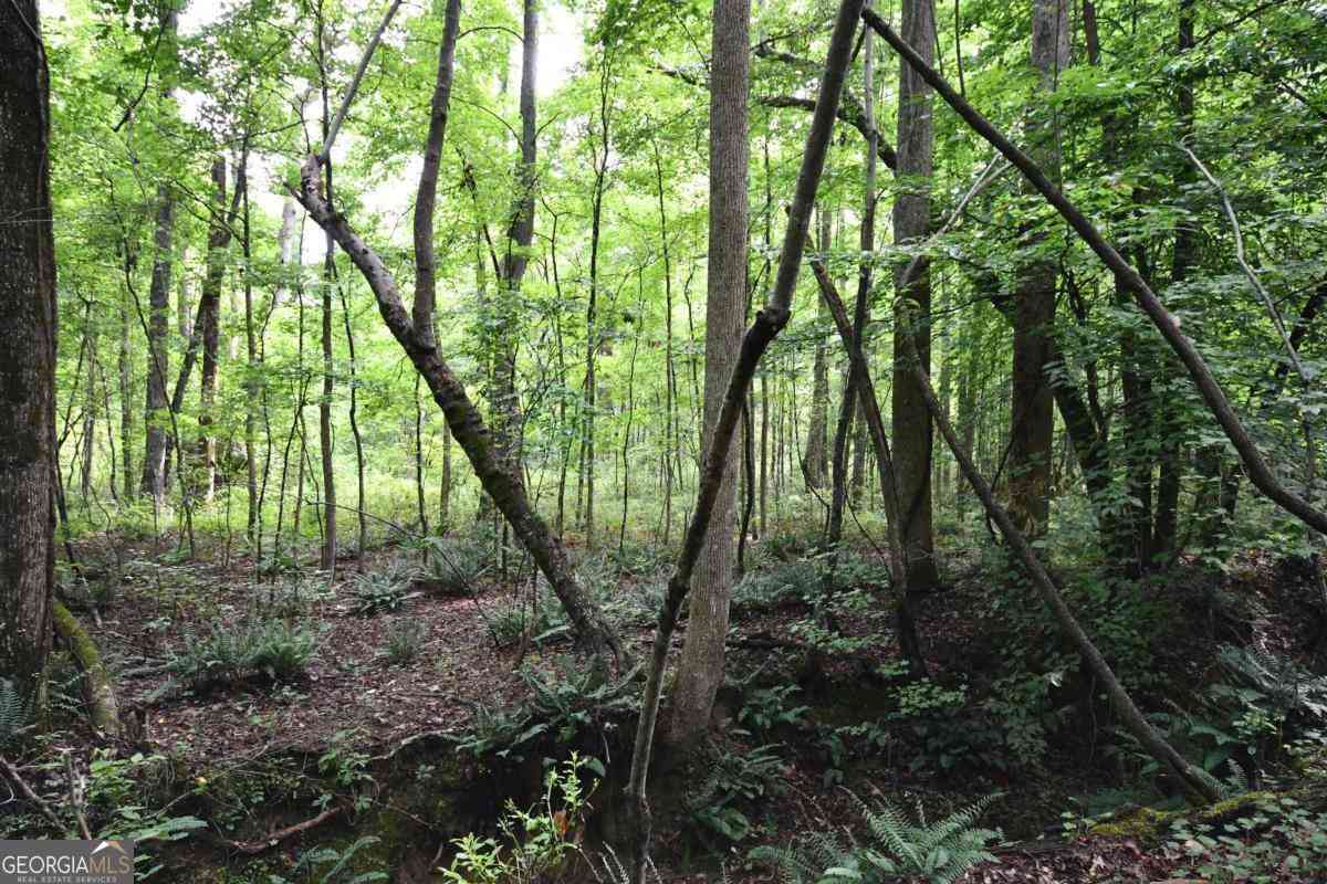 Vacant Land For Sale - 00008 Windridge Lane<br/> Temple, GA 30179