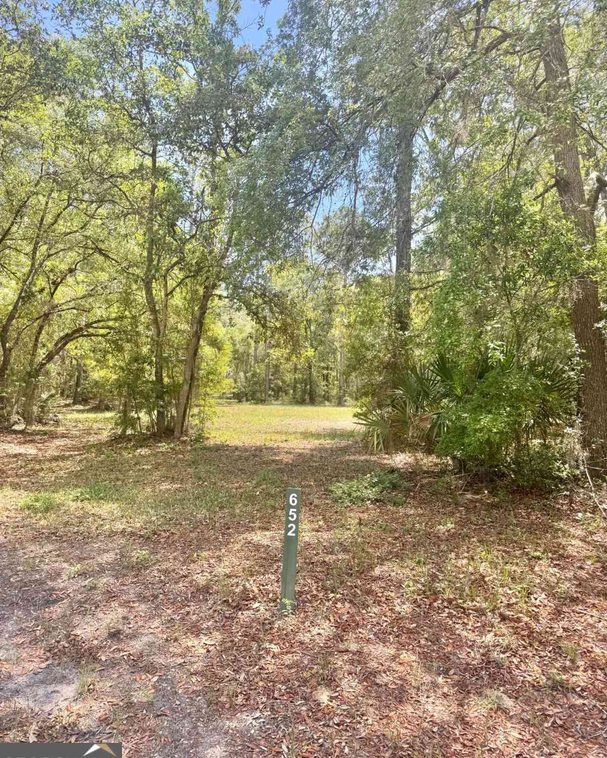 Vacant Land For Sale - 652 Picnic Lane<br/> Townsend, GA 31331