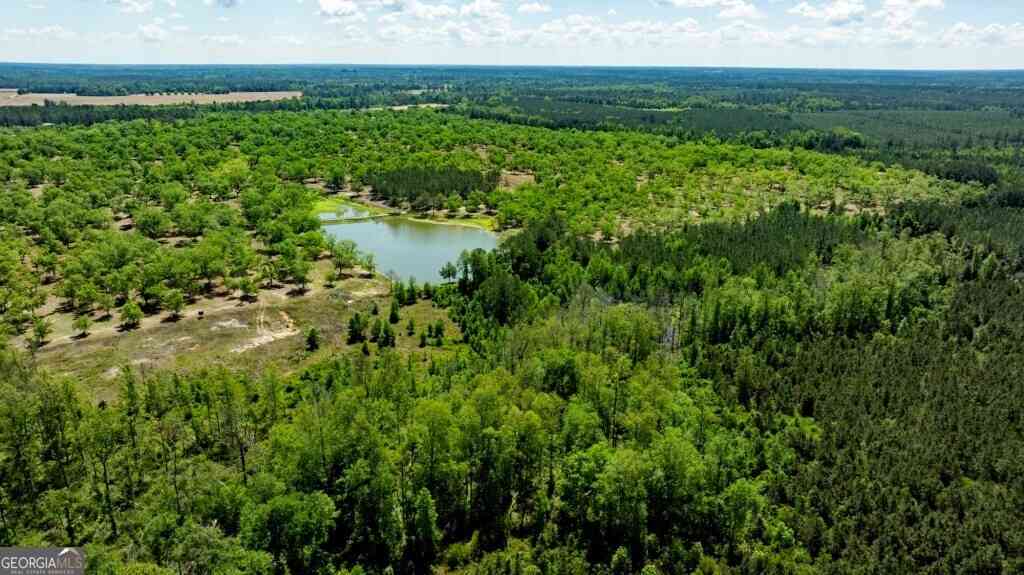 Vacant Land For Sale - 16505 Union Road<br/> Metter, GA 30439