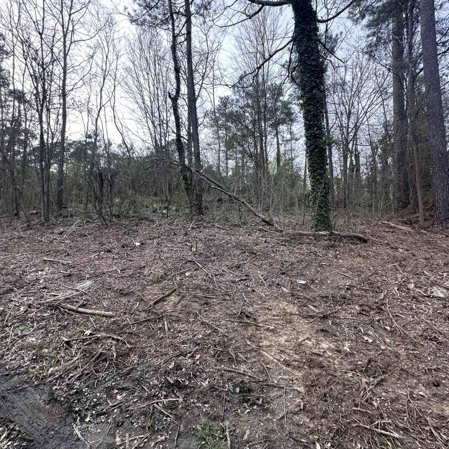 Vacant Land For Sale - 411 Gayle Drive SE<br/> Acworth, GA 30102