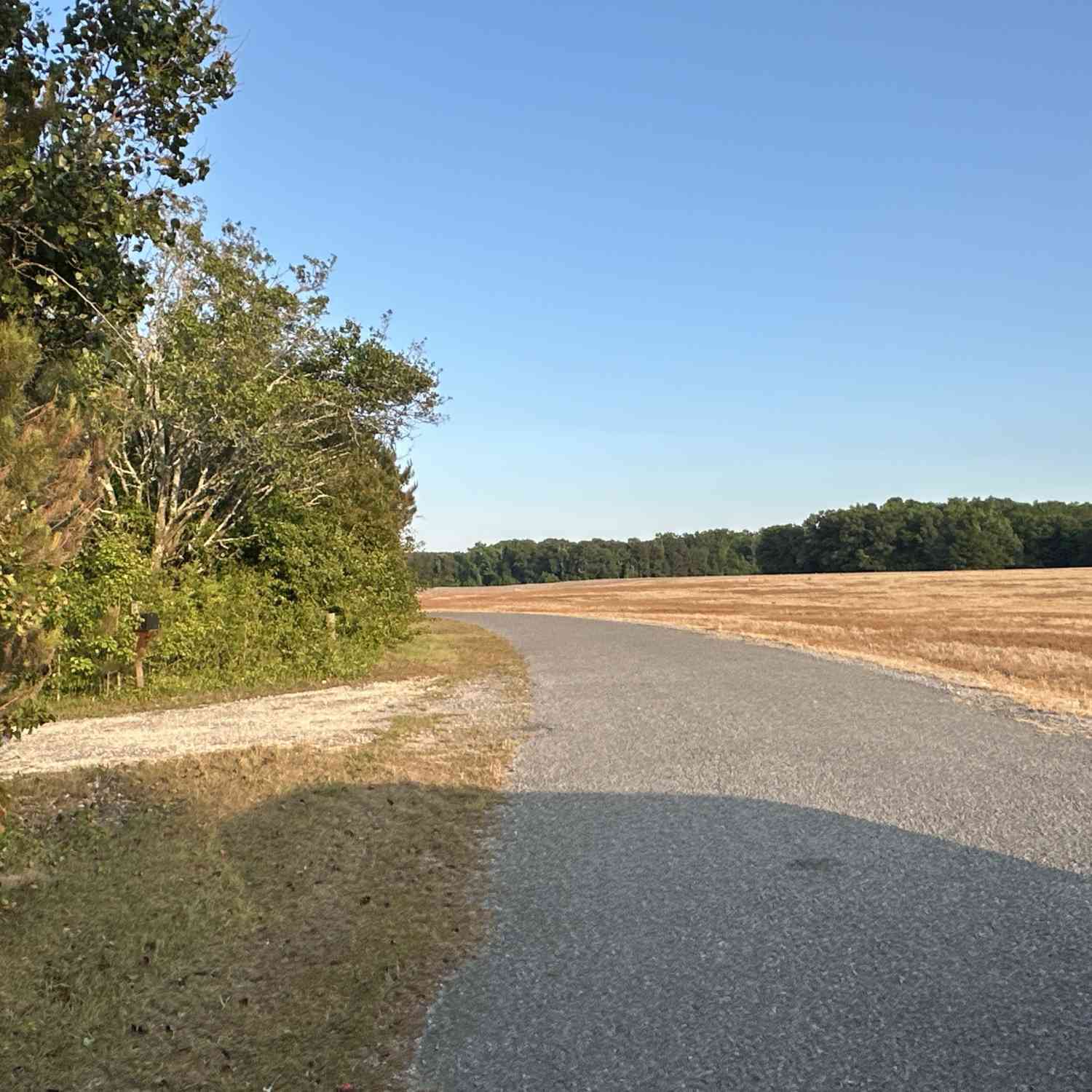 Vacant Land For Sale - LOT 7 County Road 520<br/> Centre, AL 35960