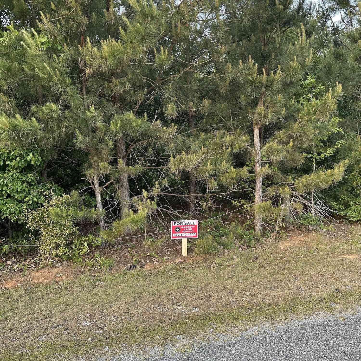 Vacant Land For Sale - LOT 8 County Road 520<br/> Centre, AL 35960