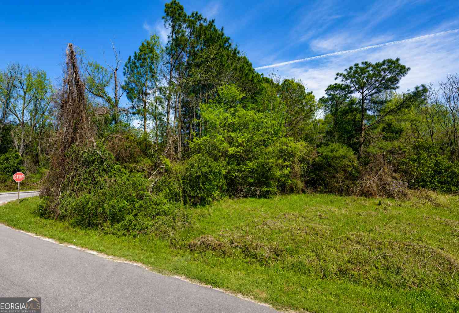 Vacant Land For Sale - .80 ACRE Monnie Street<br/> Ashburn, GA 31714