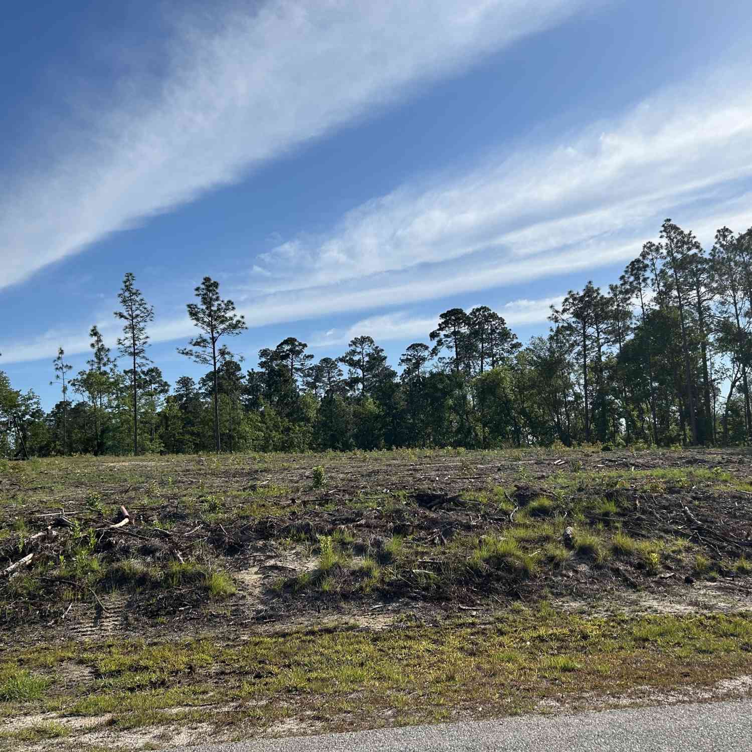 Vacant Land For Sale - 170 Julie Drive<br/> Toombs County, Vidalia, GA 30474