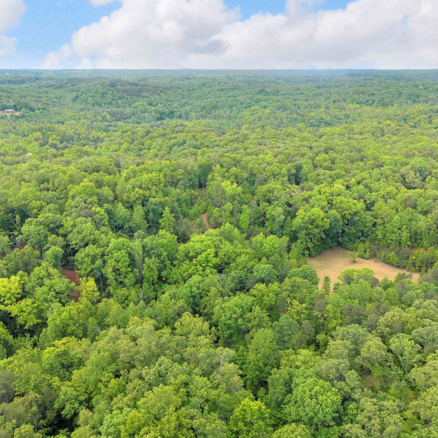 Vacant Land For Sale - 749 Cherokee Road<br/> Toccoa, GA 30577