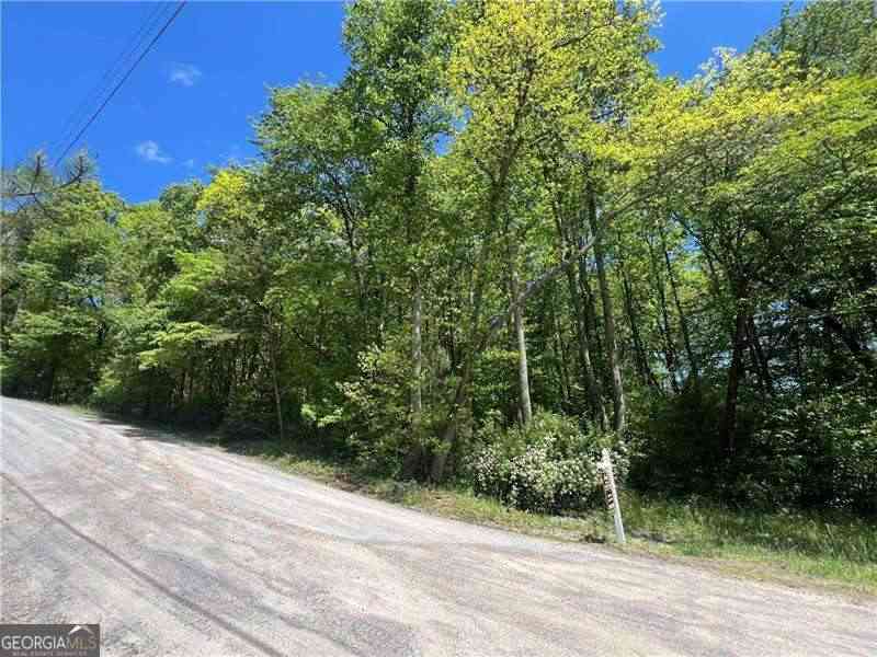 Vacant Land For Sale - Sunrise Valley Road<br/> Blue Ridge, GA 30513