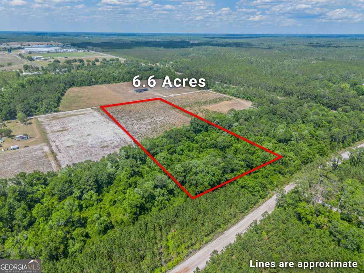 Vacant Land For Sale - 6.6 ACRES Bert Road<br/> Brantley County, Hoboken, GA 31542