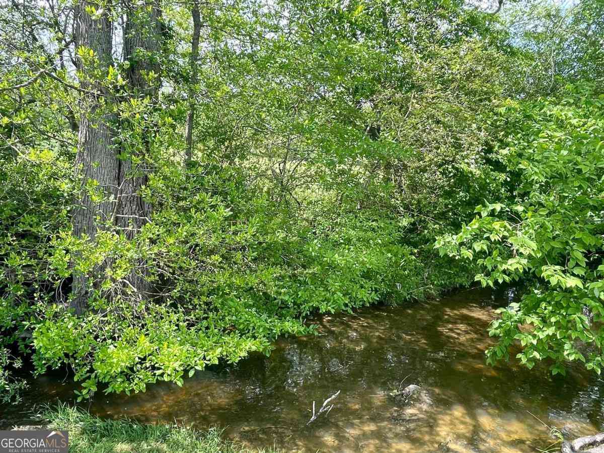 Vacant Land For Sale - 88 Porch View Circle<br/> Union County, Blairsville, GA 30512