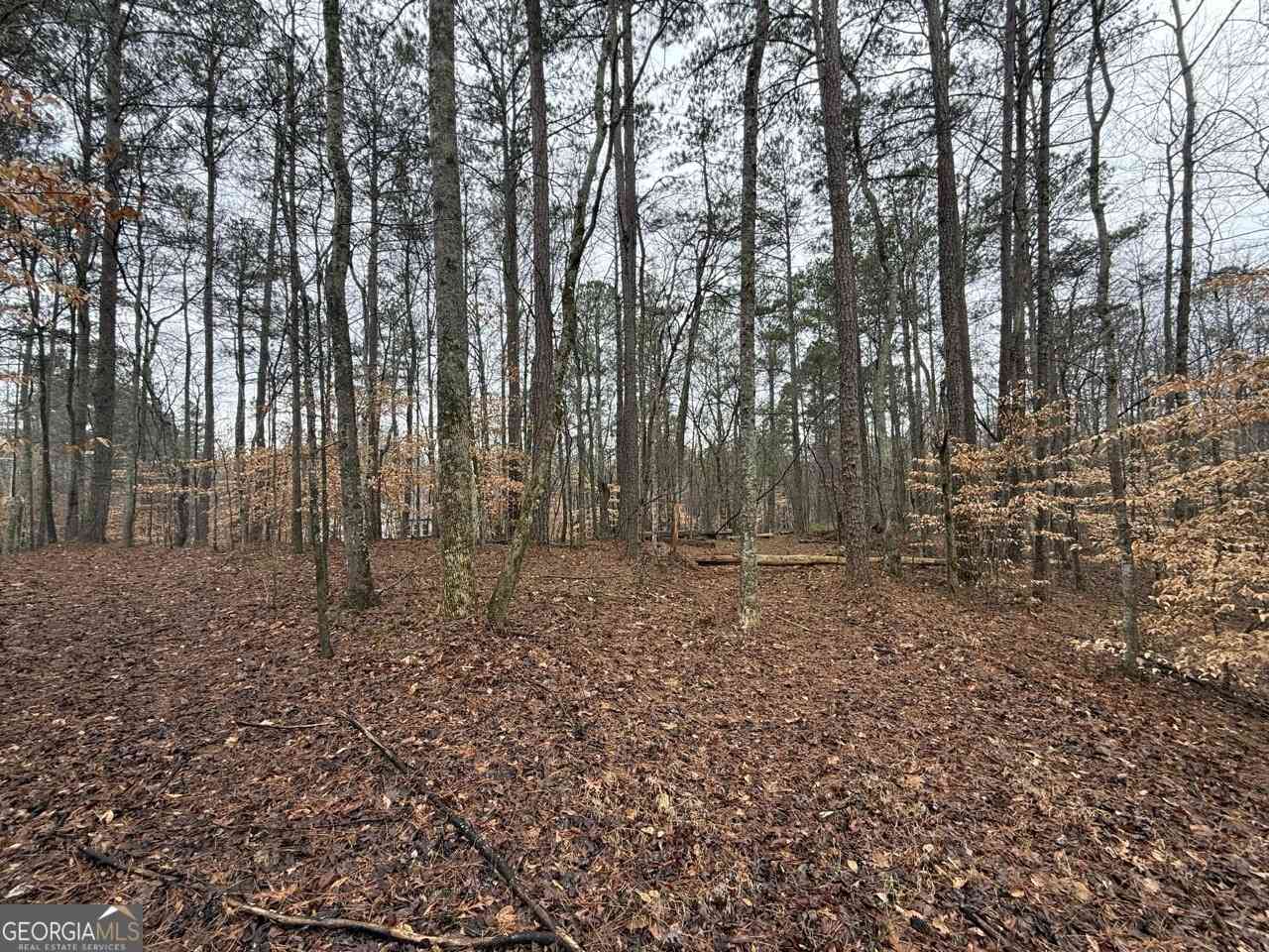 Vacant Land For Sale - 1666 Rock Springs Lane<br/> Woodstock, GA 30188