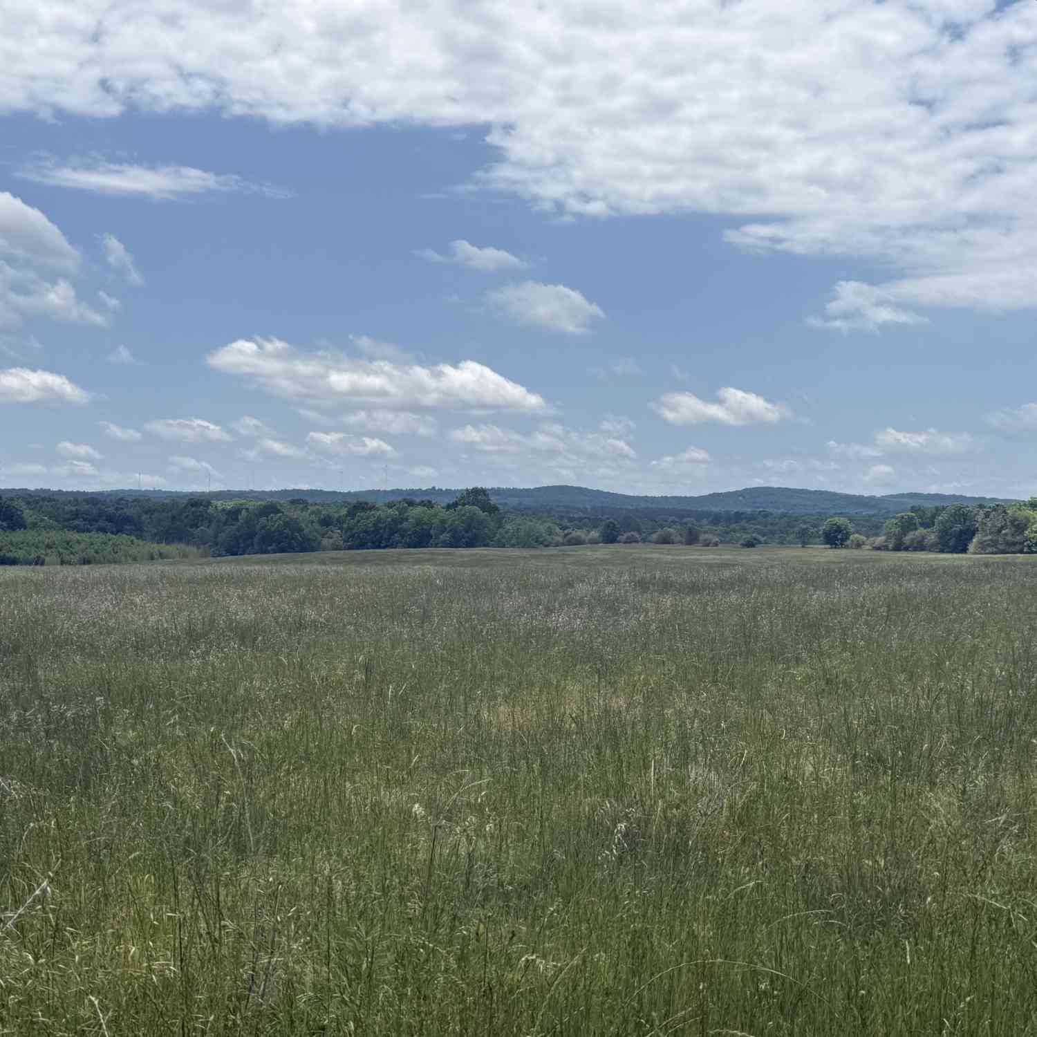 Vacant Land For Sale - 35 AC Hwy 109<br/> Zebulon, GA 30295