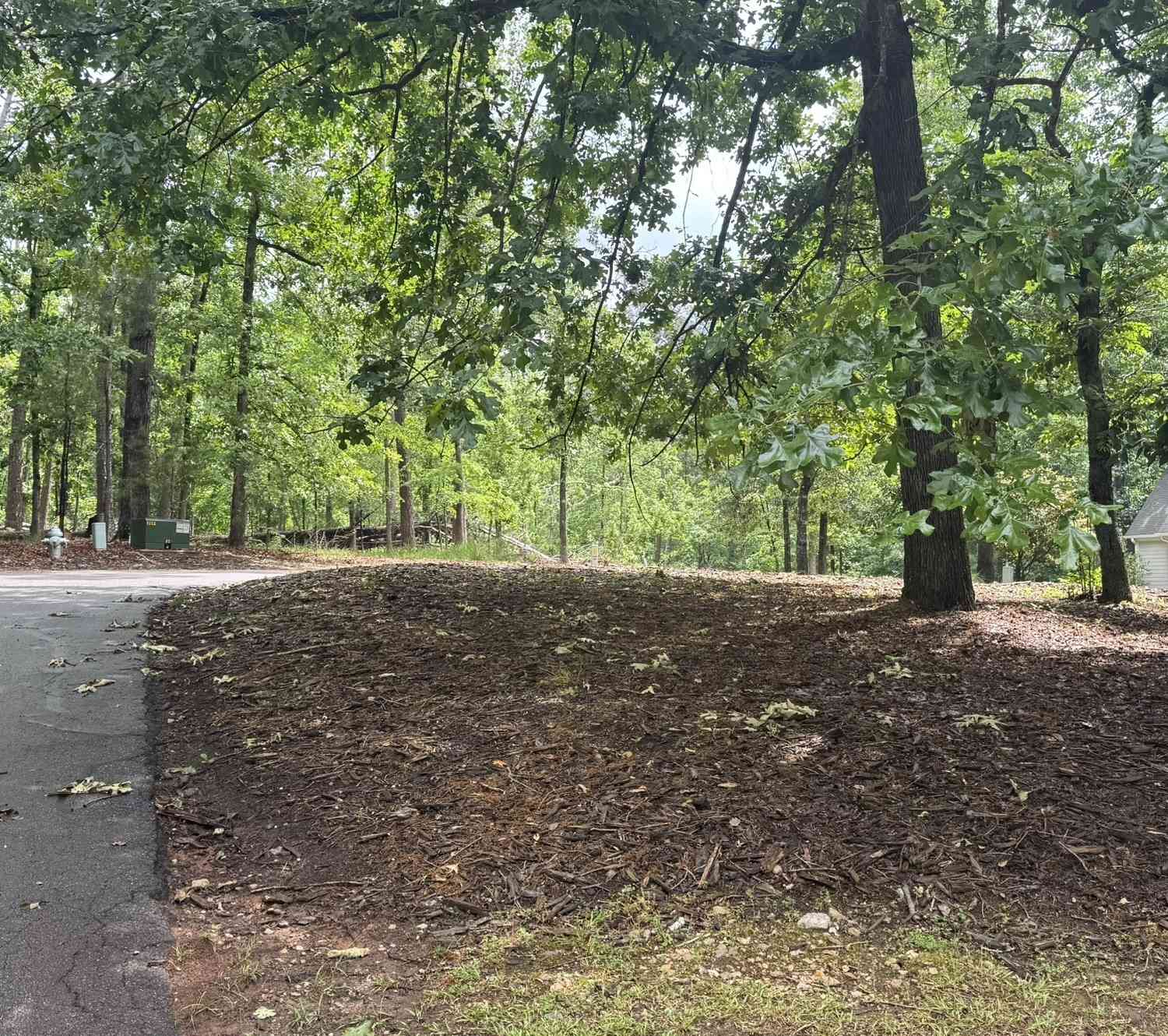 Vacant Land For Sale - 1011 Kakie Place<br/> Greene County, Greensboro, GA 30642