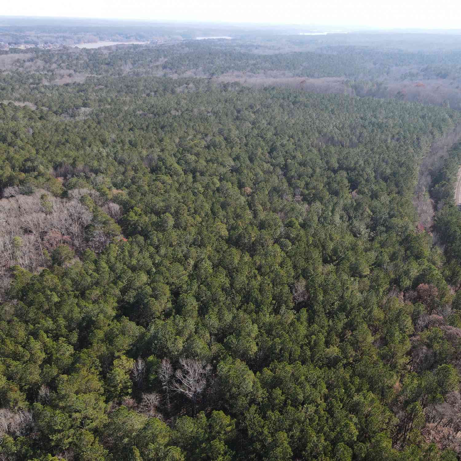 Vacant Land For Sale - Oconee Road<br/> Buckhead, GA 30625