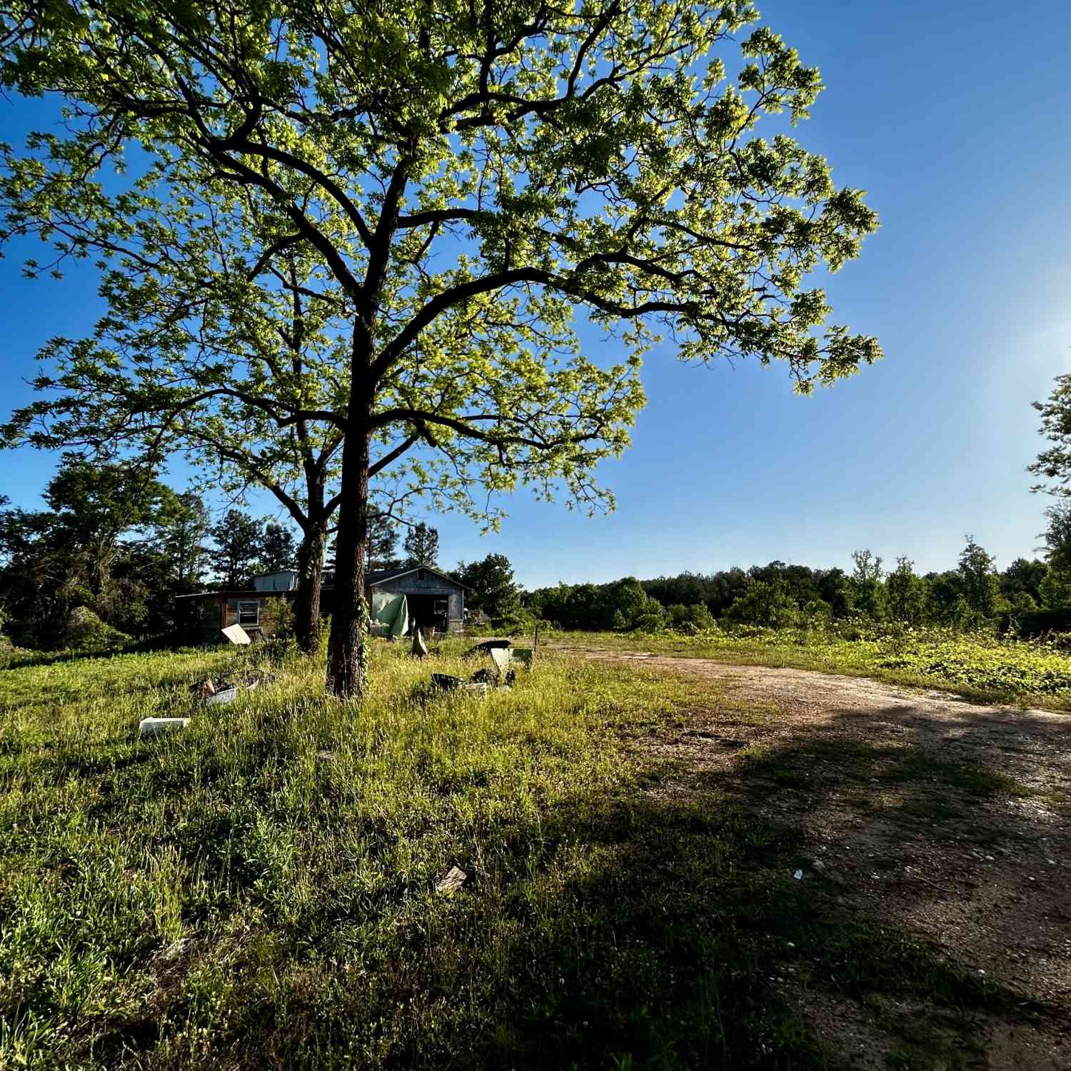 Vacant Land For Sale - 170 S Kelley Street<br/> Tallapoosa, GA 30176