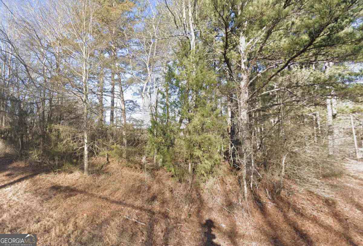 Vacant Land For Sale - New Hope Church Road<br/> Loganville, GA 30052