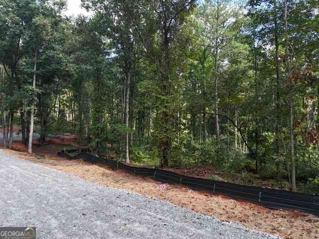Vacant Land For Sale - 354 Sanford Oak Court #TRACT 10<br/> Nicholson, GA 30565