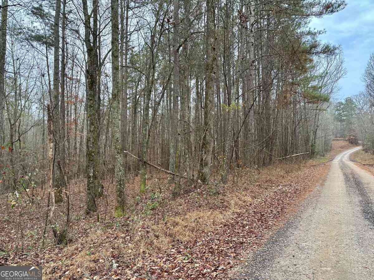 Vacant Land For Sale - County Road 59<br/> Heflin, AL 36264