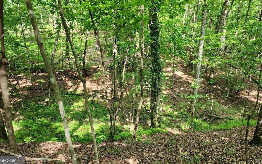 Vacant Land For Sale - LOT 838 Oneida Circle<br/> Ellijay, GA 30540