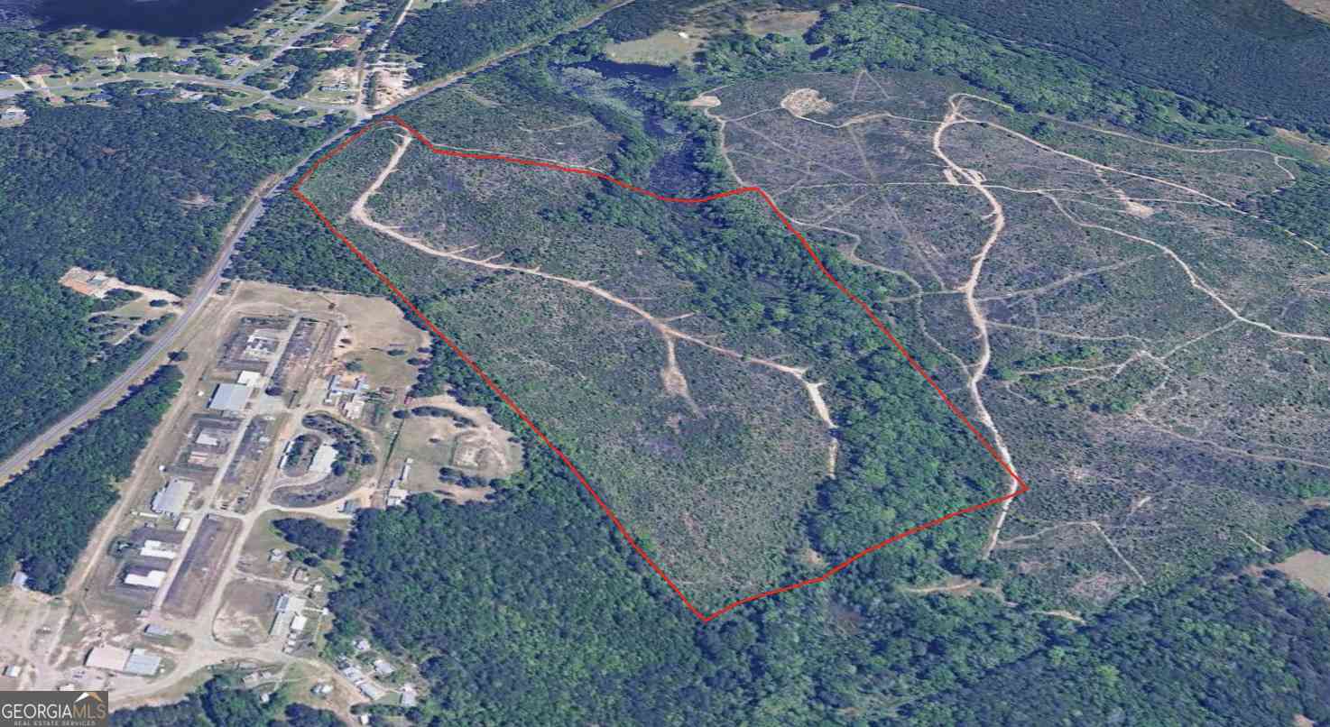 Vacant Land For Sale - Juniper Creek Road<br/> Peach County, Byron, GA 31008