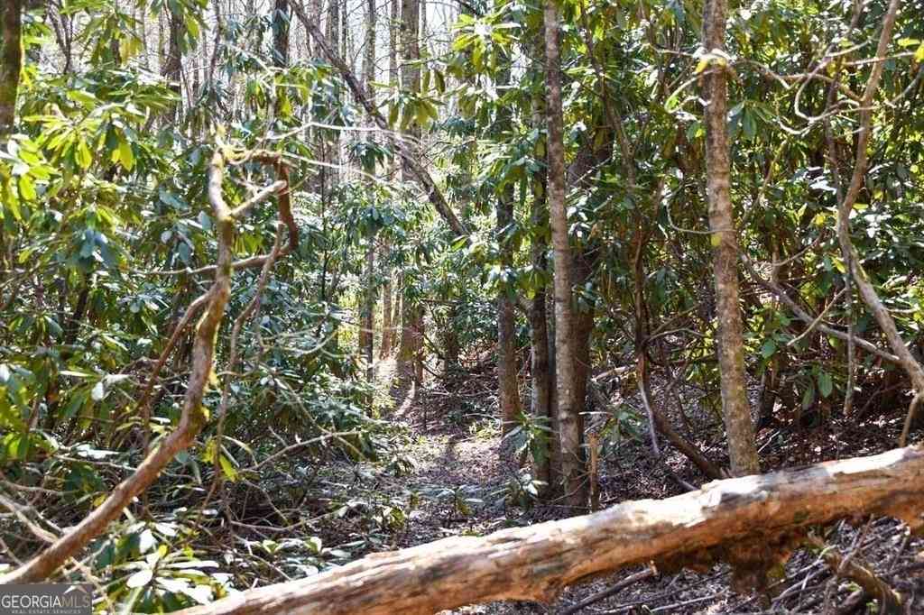 Vacant Land For Sale - Highland Gap Road<br/> Macon County, Scaly Mtn, NC 28775