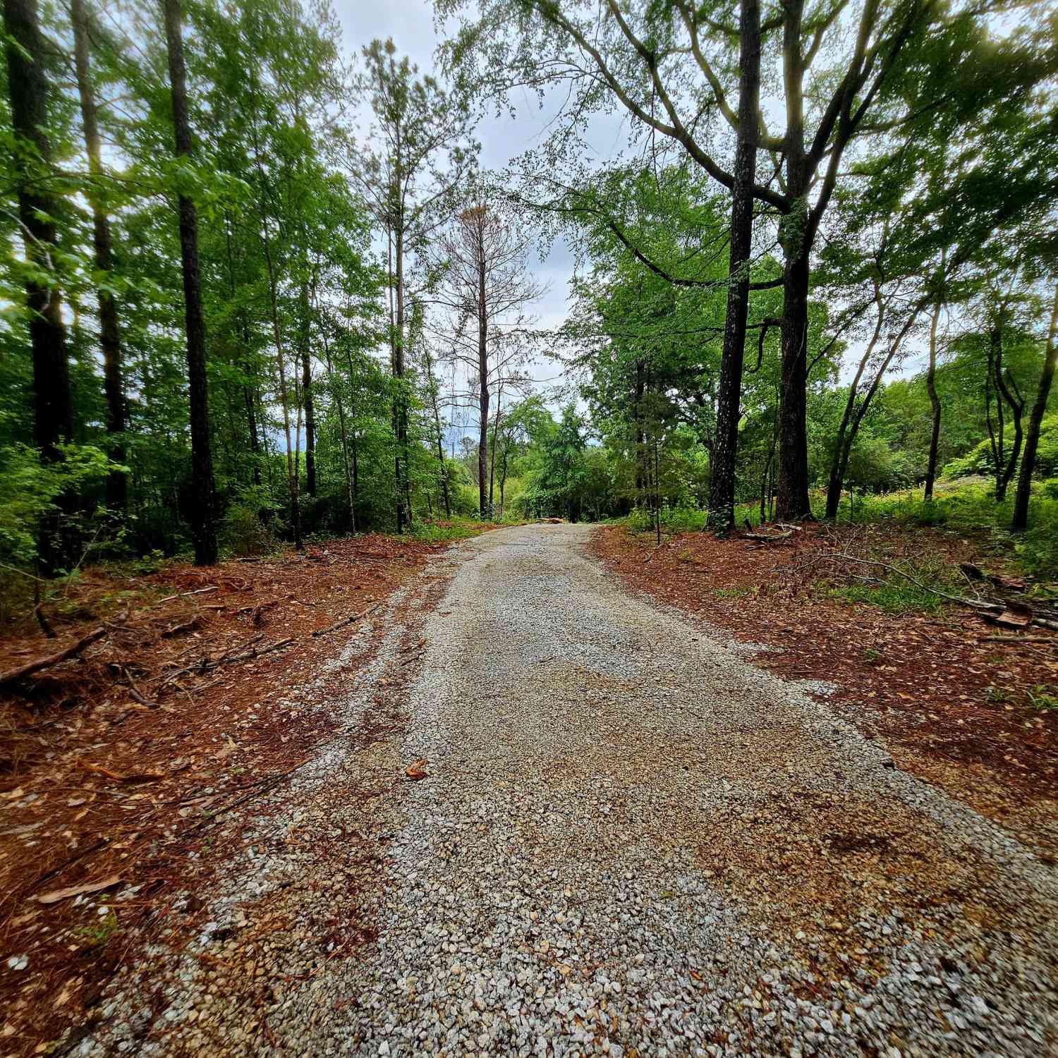 Vacant Land For Sale - School House Hill Road<br/> Franklin, GA 30217