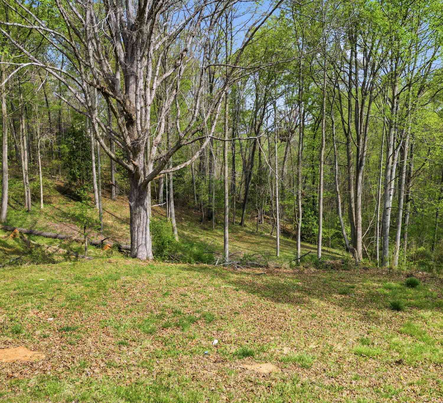 Vacant Land For Sale - 4031 Old Cornelia Highway<br/> Gainesville, GA 30507