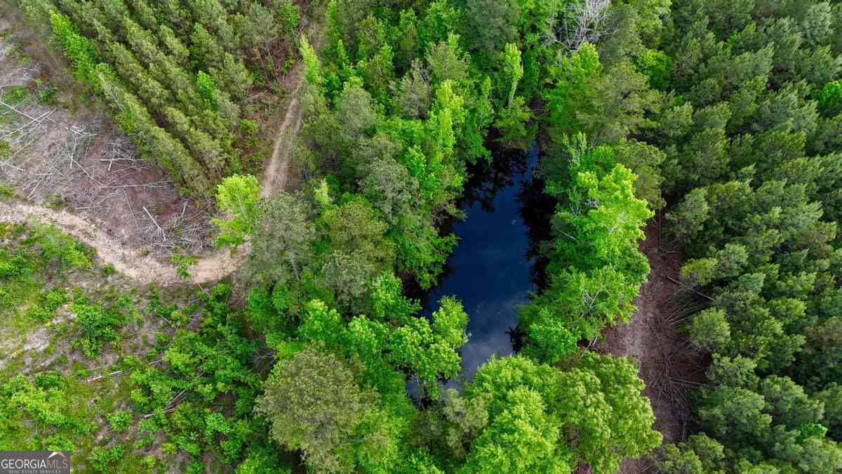 Vacant Land For Sale - John Kay Road<br/> Bartow County, Taylorsville, GA 30178